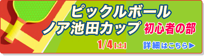 ピックルボール　ノア池田カップ　初心者の部